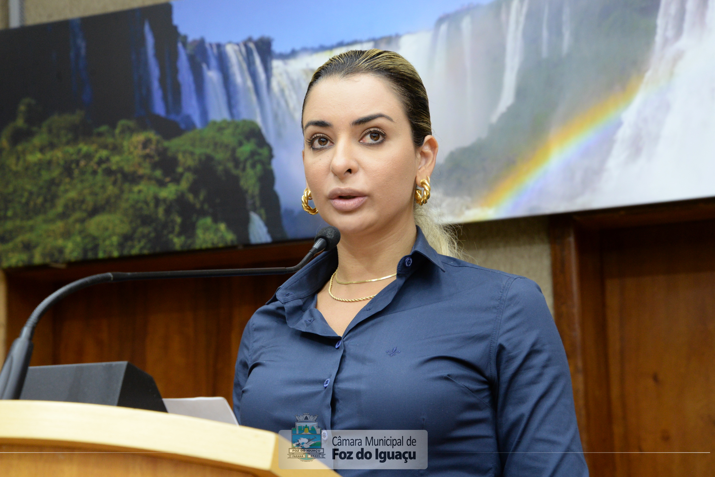 Criação de Biblioteca digital do município está tramitando na Câmara de Foz