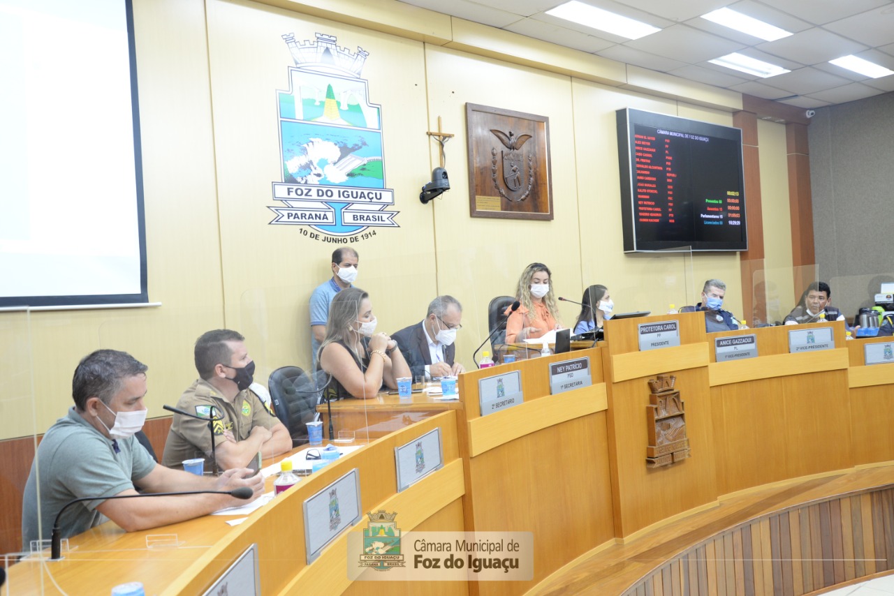 Debate sobre veículos de tração animal vai subsidiar projeto de lei