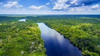 Dia da Amazônia e redução do consumo de plástico. Você sabe qual a relação?