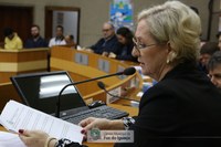 Dúvida sobre Locais de instalação das lojas francas domina debate