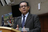 Emenda de vereadores impõe prazo para prefeitura executar corte de árvores