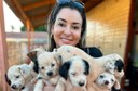 Emenda de vereadores reforça verba para mais de 2 mil castrações de cães e gatos Emenda de vereadores reforça verba para mais de 2 mil castrações de cães e gatos