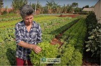 Hortaliças livres de agrotóxicos é missão da agroecologia