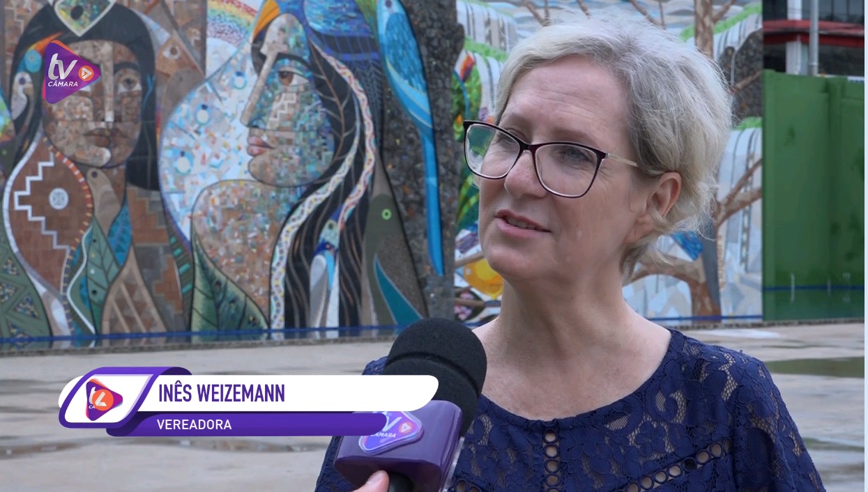 Inês Weizemann cobra informações sobre gastos com o carnaval em Foz