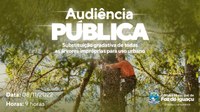Audiência pública irá debater a substituição gradativa de árvores em Foz do Iguaçu