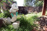 Legislativo intensifica fiscalização do controle de zoonoses em Foz