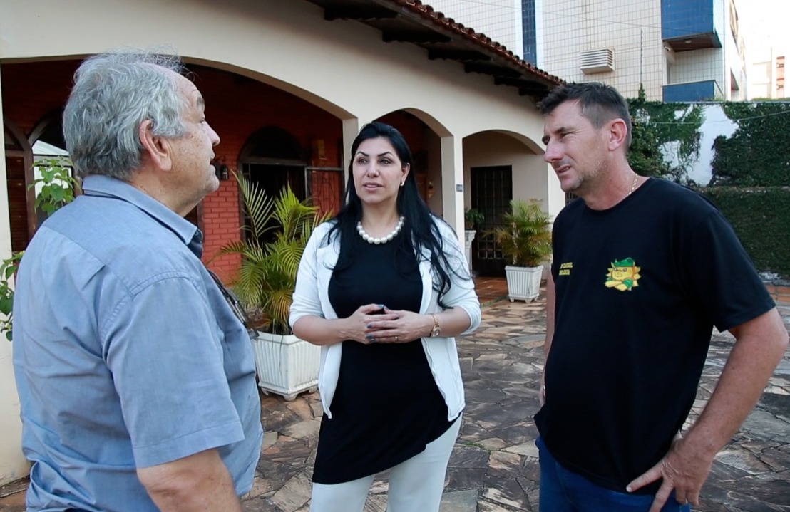 Preservação das abelhas: vereadores aprovam criação de projeto Jardins do Mel