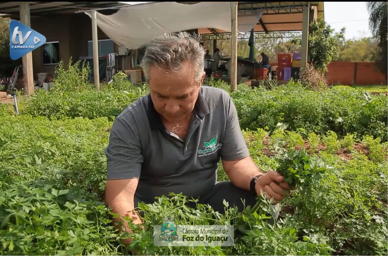 Produtor fala sobre agroecologia e produção de orgânicos em Foz