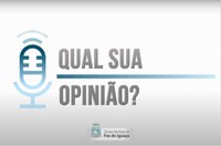 Projeto quer obrigar motoristas a prestar socorro a animais atropelados