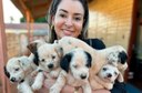 Protetora Carol anuncia conquista de Hospital Veterinário para Foz do Iguaçu