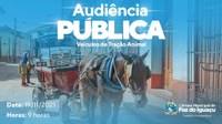 Redução de veículos de tração animal será tema de audiência pública na Câmara