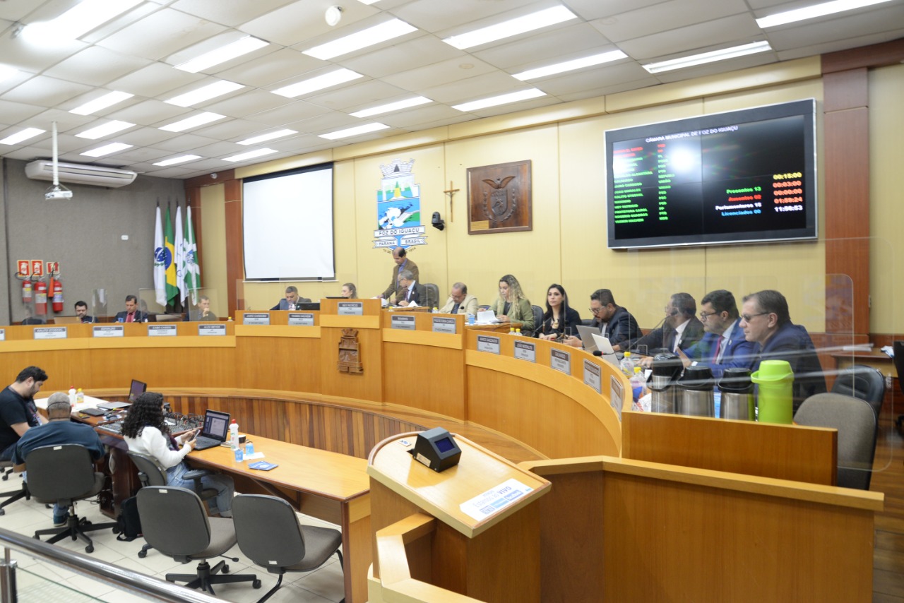 Representação contra vereadora Protetora Carol será lida nesta quinta, 12