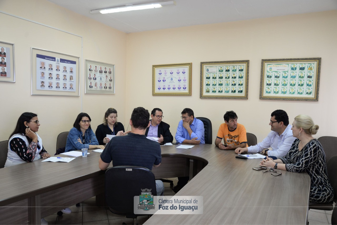 Reuniões das Comissões esclarecem pontos sobre projetos da Fundação Cultural e Intérprete de Libras