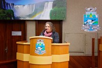 Secretaria de Saúde apresenta relatório em audiência pública na Câmara