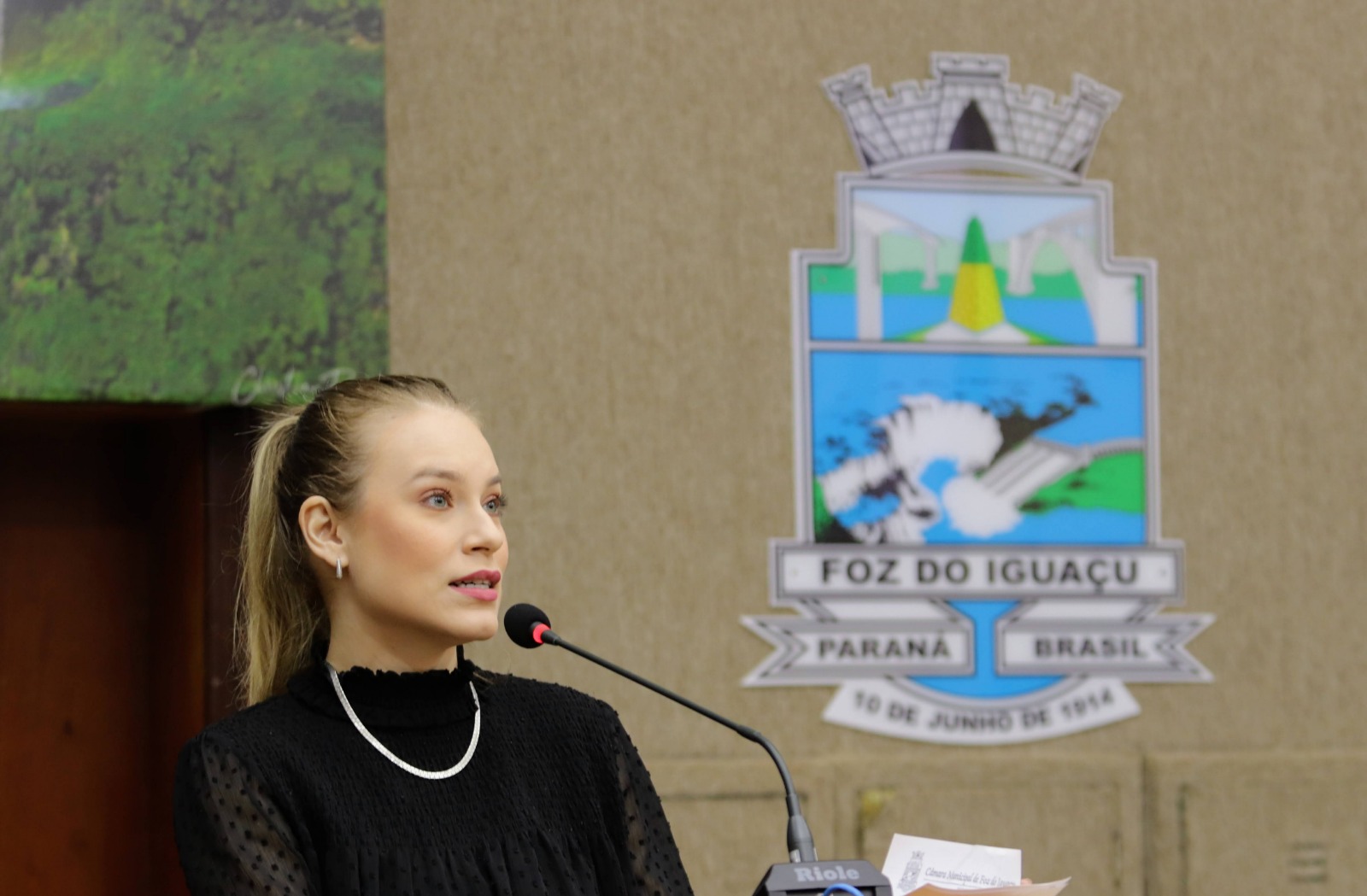 Vereadora propõe inclusão de mulheres em situação de violência ou em iminência de feminicídio no rol de critérios do aluguel social