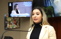 Vereadores aprovam, em 1º turno, projeto que proíbe queima de artefatos pirotécnicos com estampido