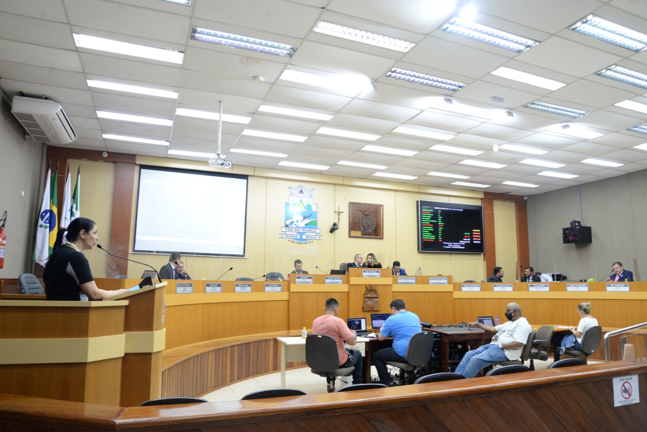 Vereadores aprovam reserva de vagas para candidatos negros e afrodescendentes em concursos públicos