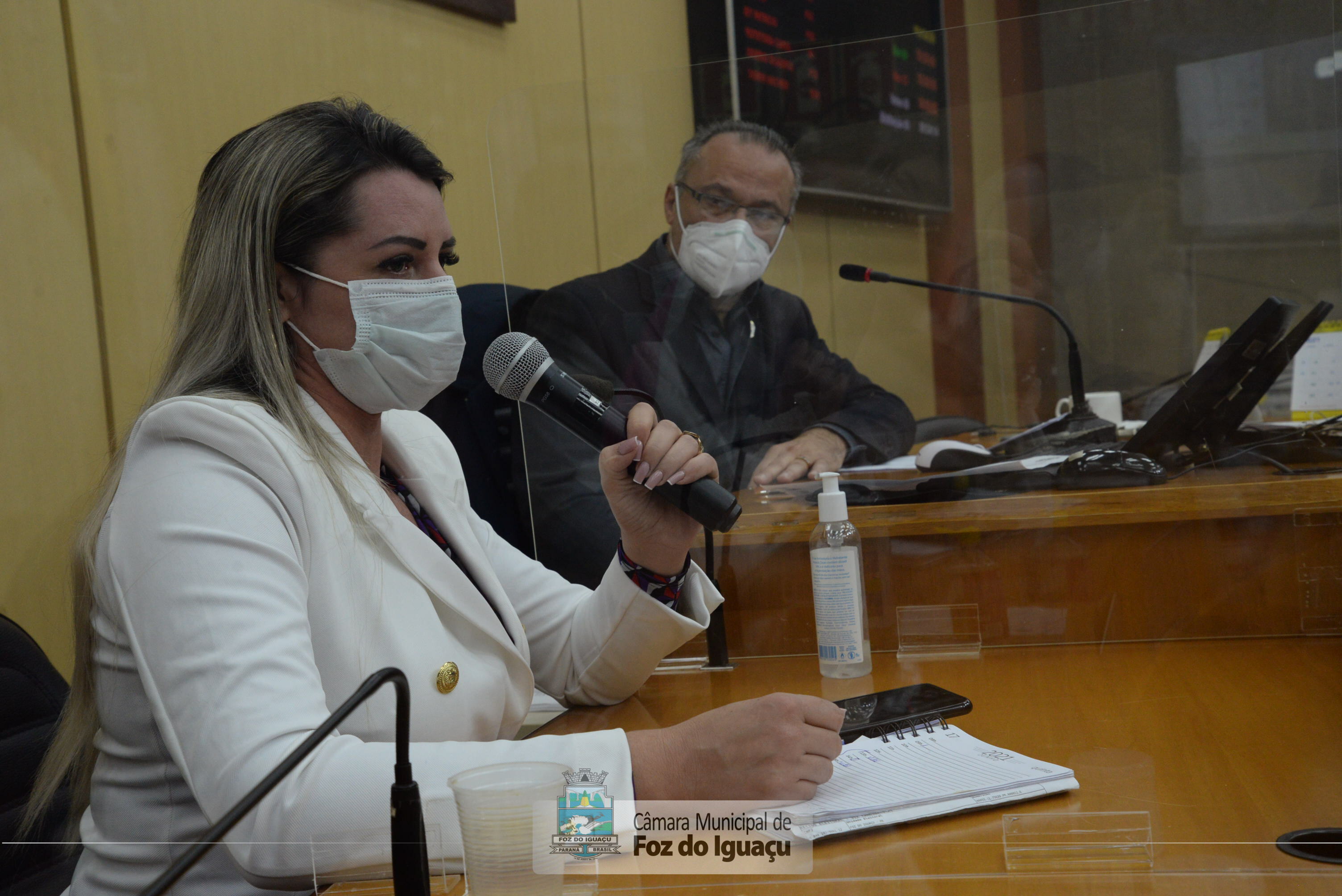 Vereadores participam de audiência sobre licitação para construção de centro de recebimento e triagem de resíduos da construção civil